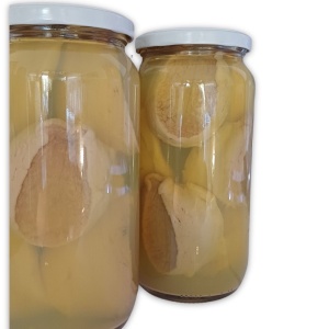 Locos en Conserva de Calbuco - Calidad Premium con Origen Garantizado