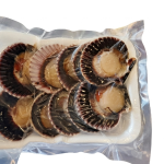 Bandeja de 10 ostiones en media concha congelados calidad premium