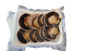 Bandeja de 10 ostiones en media concha congelados calidad premium